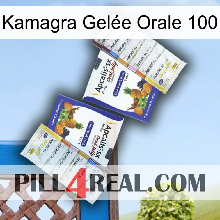 Kamagra Gelée Orale 100 12